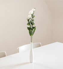 Dining & Kitchen